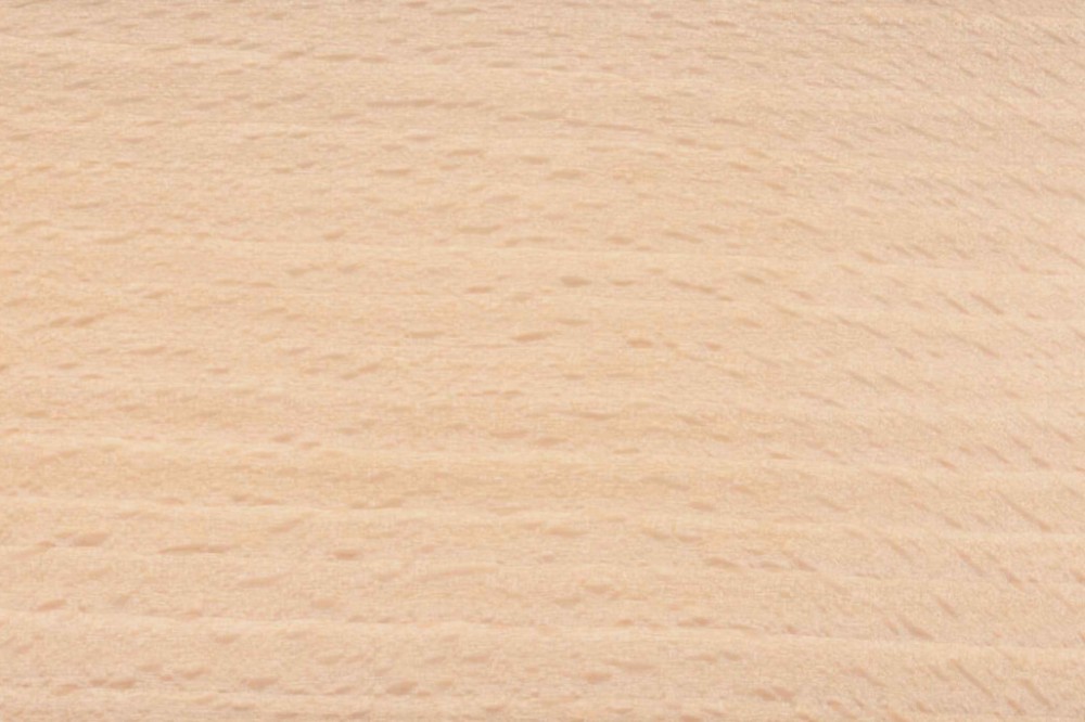 beuk-05062022171322.jpg